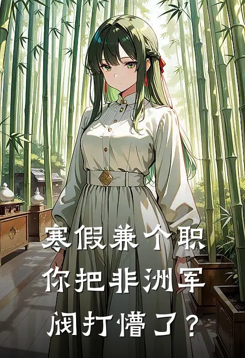 寒假兼个职，你把非洲军阀打懵了？