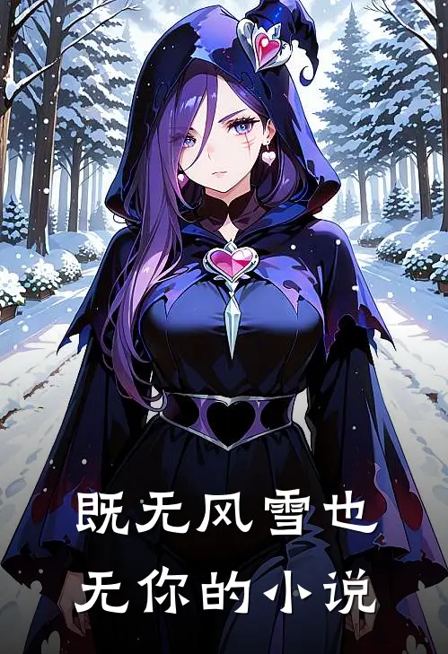 既无风雪也无你的小说