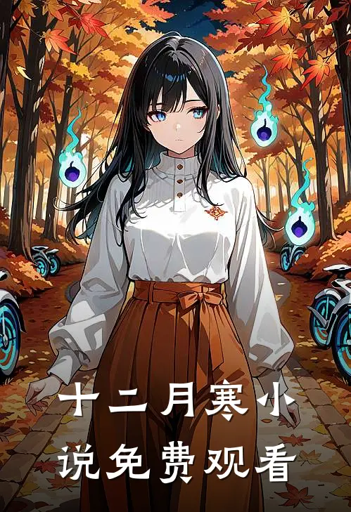 十二月寒小说免费观看