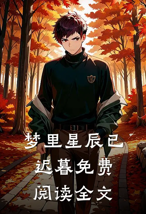 梦里星辰已迟暮免费阅读全文